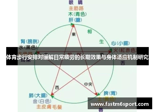 体育步行安排对缓解日常疲劳的长期效果与身体适应机制研究